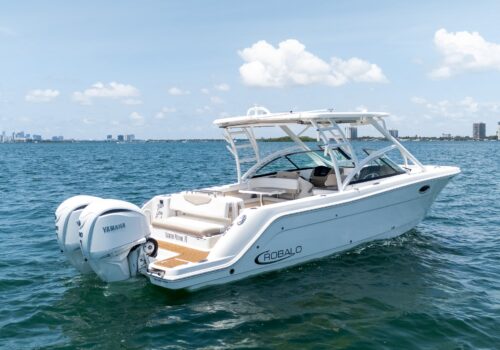 Used 2024 Robalo R317 For Sale