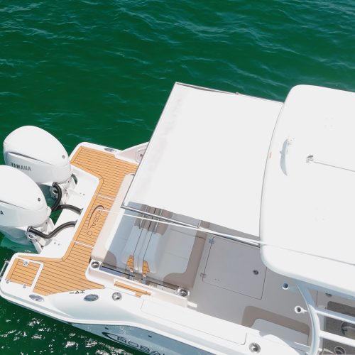 Used 2024 Robalo R317 For Sale